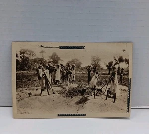 Postal de soldado de la Segunda Guerra Mundial de 1943 de colección - escena de África - aprobada por examinador del ejército - Imagen 1 de 10