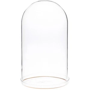 Plymor 5.5" x 10" Glass Display Dome Cloche w/ Gold Rim (Clear Glass Tray Base) - Picture 1 of 1