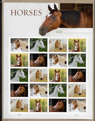 HORSES 2024 US 5891-5895 AMERICAN CULTURE AND SOCIETY MXF 20 FOREVER STAMP SHEET - Image 1 of 3