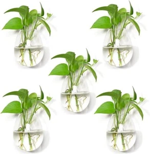 5 Packs Wall Hanging Planters Glass Plant Pots Water Containers Flower Clear  - Picture 1 of 8