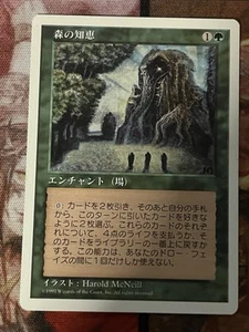 MTG Sylvan Library/Japanese/5th Edition - Picture 1 of 2