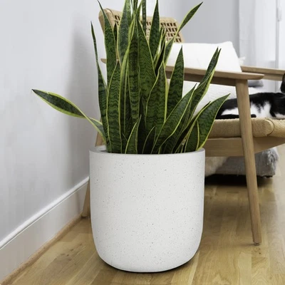 Maceta exterior de hormigón moderna de 14x14 pulgadas, maceta grande de interior con drenaje... Foto 1 de 4