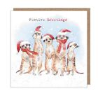 Christmas Cards Pack of 5 Festive Meerkats – Cute Animal Lover Xmas Cards