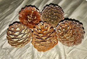 5 PCS Natural Pine Cones (Medium) 5 to 8cm FOR ALL SEASONS - Picture 1 of 4