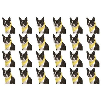 Paquete de 24 pañuelos de algodón de cachemira para perros juego a granel para refugios o fiestas de peluqueros Foto 1 de 4