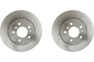 Rear PAIR Raybestos Disc Brake Rotor for 1995-2001 BMW 740iL (60454)