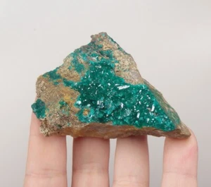 DIOPTASE lustrous crystals on matrix - Republic CONGO Pool Depart. NTOLA /pg995 - Picture 1 of 16