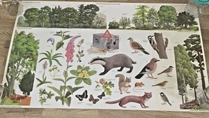 Vintage School Poster Woodland Acid Soil Tidy 1976 John Rignall Conservation - Picture 1 of 9