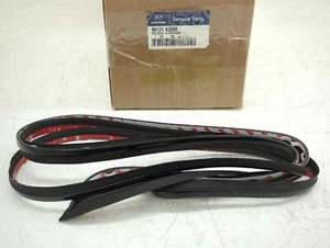 New OEM Windshield Seal 2013-2017 Hyundai Elantra GT 86131A5000 no sunroof type - Picture 1 of 5