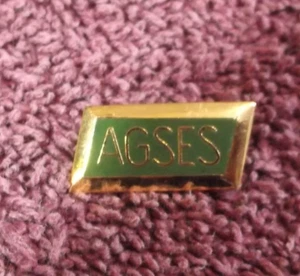 Pin AGSES vintage en tono dorado y esmalte - Imagen 1 de 2