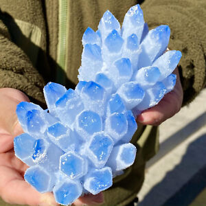 2.2lb Beautiful blue Phantom Quartz Flower Crystal Cluster Mineral Sample