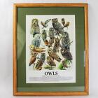 Newbold Signed Framed Matted Art Print Owls Of The United States And Canada