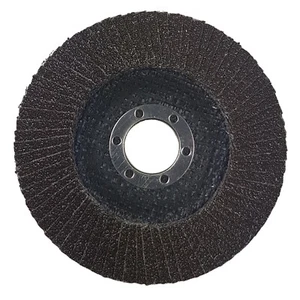 BEXOM Ø125mm Fächerscheibe KORN 60 Lamellenscheibe Schleifscheibe - Bild 1 von 2