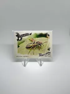 2024 ALLEN & GINTER BUZZIN' YELLOW JACKET BASE INSERT CARD #BUZ-13 - Picture 1 of 2