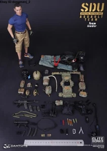 Damtoys Sdu Assault Team Leader 1/6 Scale Action Figure Daniel Wu Model In Box - Picture 1 of 14