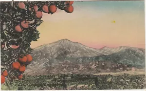 Cartolina colorata a mano-Aranceti e montagne-California-CA-così com'è - Foto 1 di 2