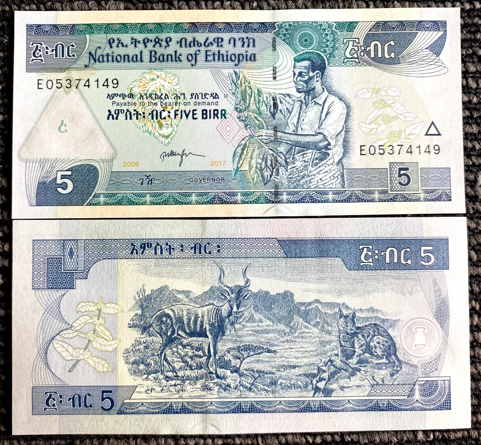 Ethiopia 5 Birr 2009-2017 Banknote World Paper Money UNC Currency Bill Note - Image 1 of 1