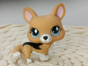 petshop authentic LPS Chien Corgi Brow Black Corgi Dog Rare #893 original hasbro - Picture 1 of 3