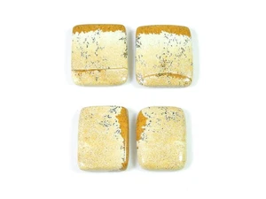 AAA Natural Picture Jasper Matched Pair 02Pcs Octagon Loose Gemstone 17-18MM k98 - Picture 1 of 9