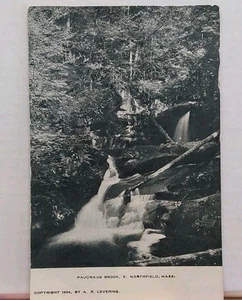 Pauchaug Brook E. Northfield MA 1908 Postkarte  - Bild 1 von 2