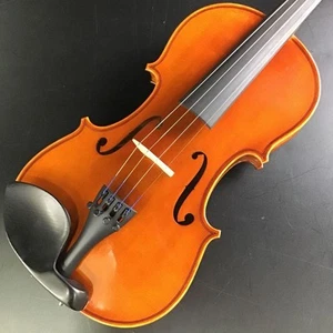Eastman Actual Image Violin Set Svl80 4/4 Supervised By Meister Mogi - Picture 1 of 8
