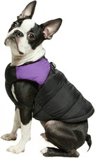 gooby dog raincoat