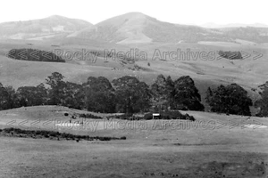ygg-12 Golfplatz, Ooty Tamil Nadu, Udhagamandalam, Indien. Foto - Bild 1 von 1