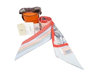 Hermes Scarf Twilly Rand Theatre Nouveau Grenadine Ciel Ros Women France Silk - Picture 1 of 7