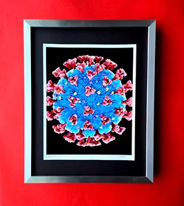 ALEXANDER DULAC | COVID 19 VIRUS Hand Signed Authentic Print LtdEd of 10 COA - Picture 1 of 3