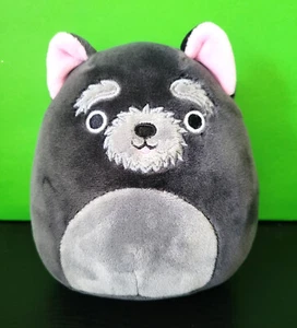 Squishmallows  Chuy the Black Cairn Terrier 5" Plush Stuffed Animal - Picture 1 of 3