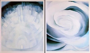 Georgia O' Keeffe ABSTRACCIÓN ROSA BLANCA Vintage Arte Impresión Libro Placas 40 41 - Imagen 1 de 5