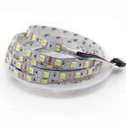 Bande lumineuse double couleur DEL SMD 2835 5050 180 LED/M CW/WW double blanc CCT 12V 24V
