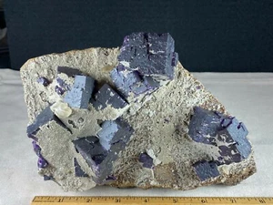 Cristalli di fluorite viola scuro su matrice - miniera di olmo - Foto 1 di 12