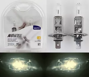 Nokya Caldo Bianco H1 Nok7917 75W Due Lampadine Nebbia Luce Ricambio Spina Play - Picture 1 of 11