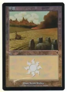 MTG T-Chinese Foil Plains #334 Scott Bailey Invasion NM- - Picture 1 of 1