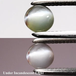 💎 0,30ct runder Cabochon natürlicher grüner Katzenauge Alexandrit - Sri-Lanka Edelstein - Bild 1 von 6