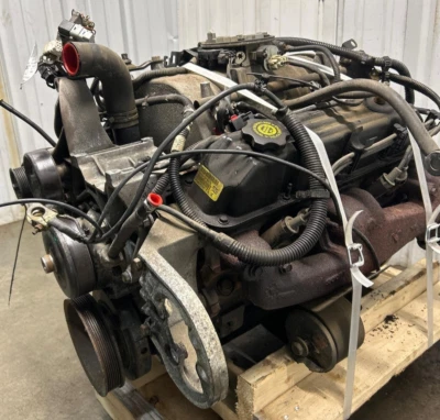 2001 Dodge Ram 1500 5.9L Engine Assembly 46K Miles VIN Z 8th Digit 1993-2000 Foto 1 de 4