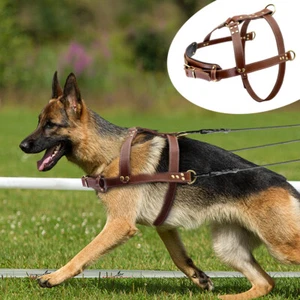 Genuine Leather Large Dog Pet Vest Harness for Big Dogs Pitbull German Shepherd - Picture 1 of 13