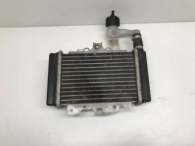 RADIATORE ACQUA RAFFREDDAMENTO MOTORE   SCOOTER MALAGUTI BLOG 125 160 CC - Imagen 1 de 2