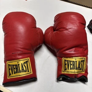 Guantes de boxeo Everlast para adultos 16 oz. USA DE COLECCIÓN  - Imagen 1 de 10