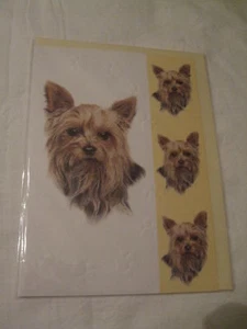 CARTE + ENVELOPPE - chien YORKSHIRE - Foto 1 di 1