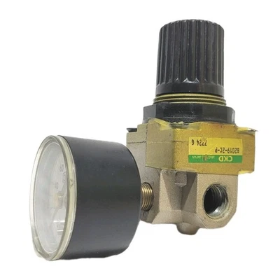 Válvula reductora de presión CKD Wilkerson B2019-2C-P Foto 1 de 4