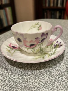 Shelley Wind Flower  Teacup And Saucer - Picture 1 of 6