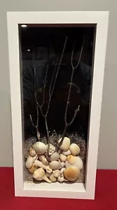 Shadow Box With Shells - Picture 1 of 3