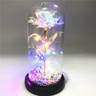 LED Enchanted Galaxy Rose Eternal Gold Foil Flower In Dome Valentine's Gift