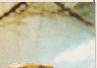 E.T. THE EXTRA TERRESTRIAL SINGLE ALBUM STICKER #16 - Image 1 of 2
