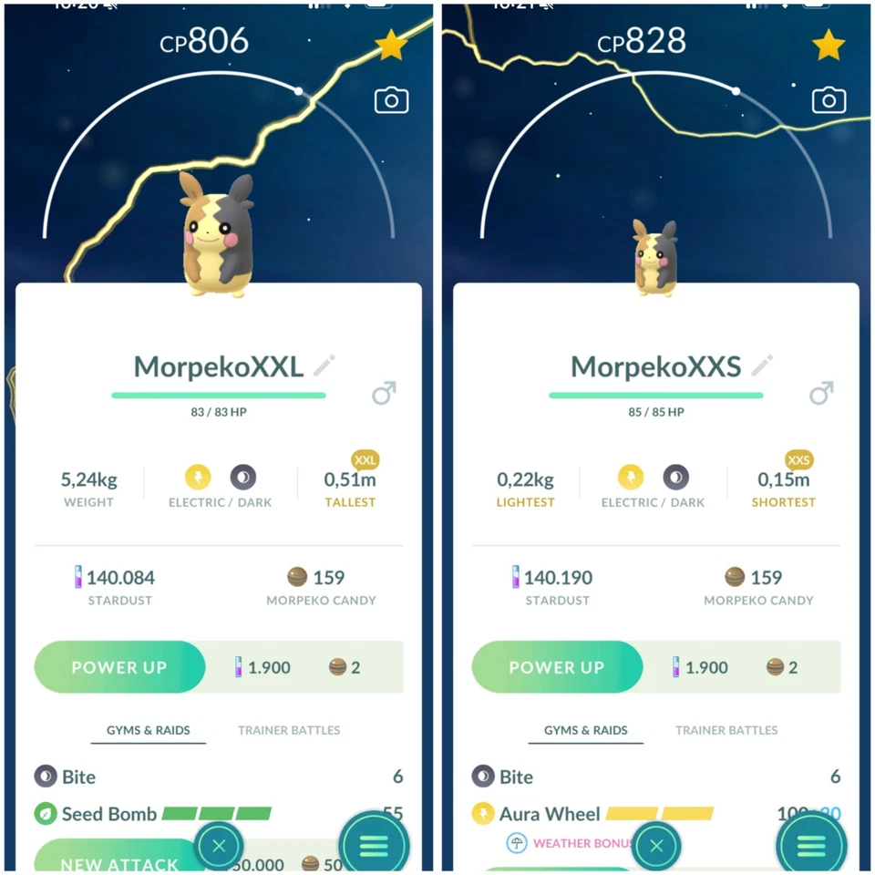 Morpeko XXL or XXS  | Tr-de 20k Stardust - Image 1 of 1