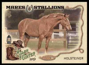2019 TOPPS ALLEN & GINTER HOLSTEINER HORSE MARES & STALLIONS #MS-15 INSERT - Imagen 1 de 2
