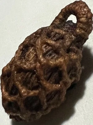 MAKTUI PHRA LP AIEM RARO ANTIGUO AMULETO TAILANDÉS BUDA COLGANTE MAGIA ANTIGUO ÍDOLO #7 Foto 1 de 4