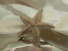 Xx Showy Silver Tone Textured Monet Signed Starfish Vintage 80'S Brooch 521My0